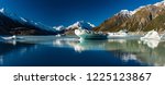 Tasman Glacier Lake with icebergs and snowy mountains, Aoraki Mount Cook National Park, New Zealand