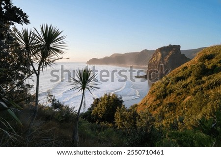 Tasman Lookout Track sunset view point of Piha Beach, Auckland, New Zealand
