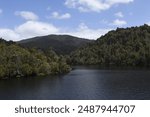 Tasmania, Australia – 11.14.2023 Forest in the iconic Gordon River in The Franklin Gordon Wild Rivers National Park in Strahan, Tasmania, Australia.