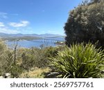 Tasmania bridge horizon scenery shrubs beautiful landscape of Tasmania 