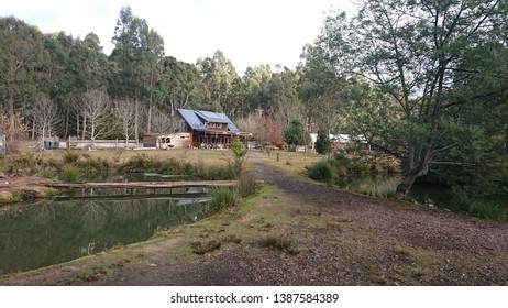 Tasmanian Cottage, Working Salmon Farm. 