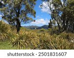 Tasmanian-landscape in Cradle Mountain Lake St. Clair National Park