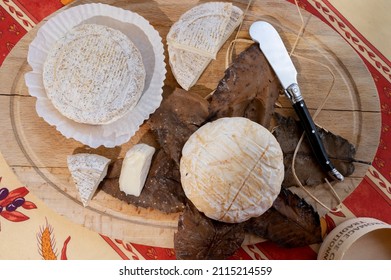 Tastes Of Provence, Ancient Small Goat Cheese Banon A La Feuille Wrapped In Chestnut Leaves And Tied With Raffia And Tome De Provence, France