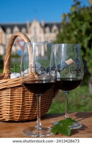 Tasting of Bordeaux blended red wine on green vineyards with rows of red Cabernet Sauvignon grape variety of Haut-Medoc vineyards in Bordeaux, left bank of Gironde Estuary, France