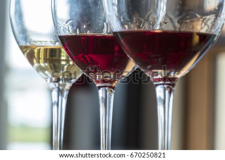 Tasting a Flight of Three Wines in a Winery