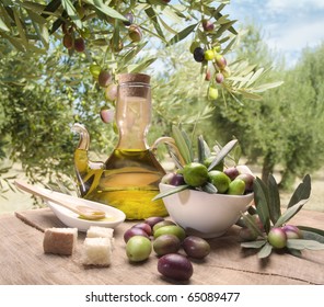 Tasting Olive Oil And Freshly Harvested Olives.