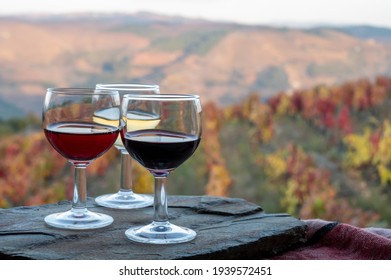 Tasting of Portuguese fortified dessert and dry port wines, produced in Douro Valley with colorful terraced vineyards on background in autumn, Portugal