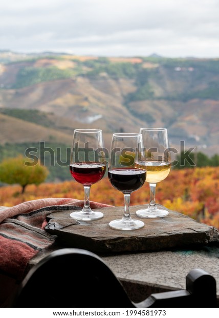 Tasting of Portuguese fortified dessert\
and dry port wine, produced in Douro Valley with colorful terraced\
vineyards on background in autumn,\
Portugal