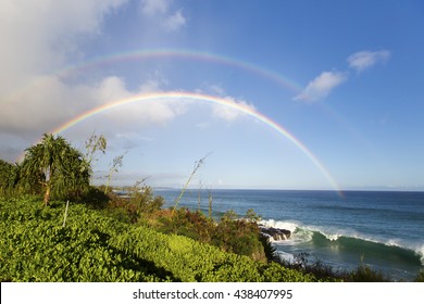 ダブルレインボー ハワイ の画像 写真素材 ベクター画像 Shutterstock