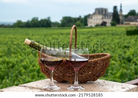 Tasting of red dry pinot noir wine in glasses on premier and grand cru vineyards in Burgundy wine making region near Vosne-Romanée village, France