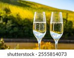 Tasting of sparkling white wine, traditional champagne method making of cremant in caves on Moselle river valley in Luxembourg, glasses of wine and view on terraced vineyards