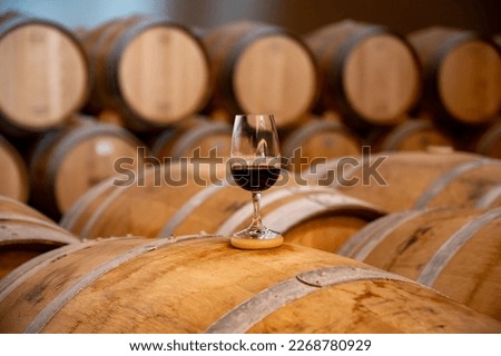 Tasting of variety of rioja wines, visit of winery cellars with french or american oak barrels with agening red wine, Rioja wine making region, Spain