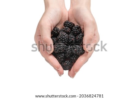 Similar – Ripe blackberries in hand