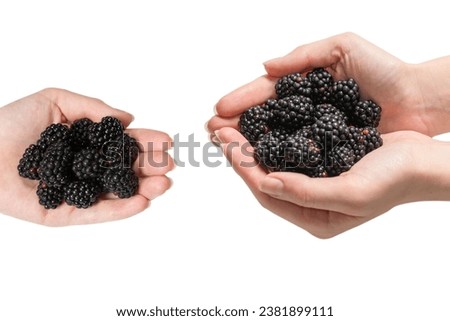 Similar – Blackberries in a child hand