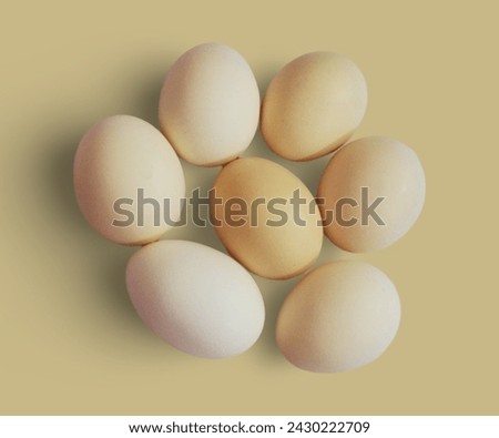 Tasty eggs arranged in circular shaped. 