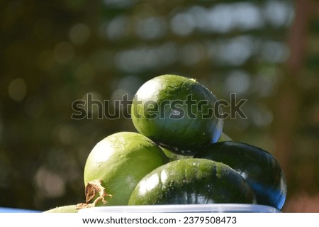 Similar – Image, Stock Photo orchard meadow, apple harvest