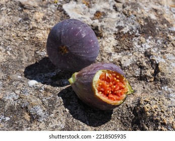 Tasty Ficus Carica Or Common Figs. Fresh Fruits In The Stone Background. Close Up. Fig Is Fruit Bearing Plant In The Mulberry Family, Moraceae.