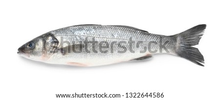 Tasty fresh seabass fish on white background