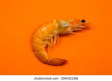 Tasty Fresh Shrimp Or Prawn On The Orange Background.
Close Up Photo. Healthy Seafood. Minimalism, Original And Creative Image. Beautiful Natural Wallpaper.