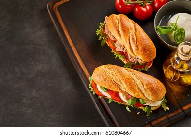 Tasty gourmet meat and cheese sandwiches with mozzarella ball and olive oil. Includes copy space.