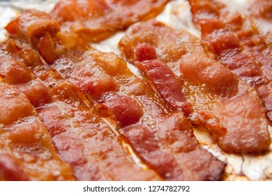 Tasty Greasy Fried Bacon Slices Close Up