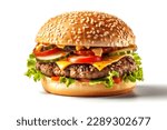 Tasty Hamburger with white Background