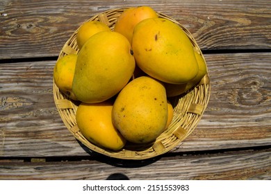 Tasty Indian Mangoes in Basket. Badami mango fruit sweet in taste also known as Karnataka Alphonso. Mango from India in basket on wooden background