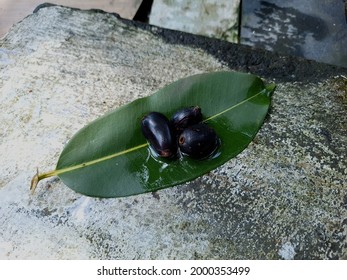 Tasty Java Plum Or Malabar Plum Fruit 