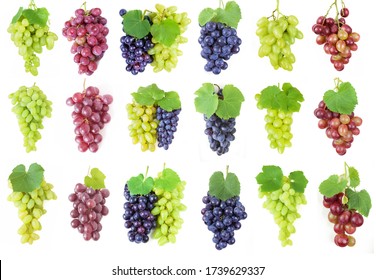 Set Bunches Red Grapes Cluster Berries Stock Vector (Royalty Free ...
