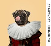 Tasty. Model like medieval royalty person in vintage clothing headed by dog head on yellow peach background. Concept of comparison of eras, artwork, renaissance, baroque style. Creative collage.