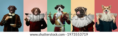 Tasty. Models like medieval royalty persons in vintage clothing headed by dog's heads on multicolored background. Concept of comparison of eras, artwork, renaissance, baroque style. Creative collage.