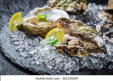 Tasty Oysters On Ice With Lemon