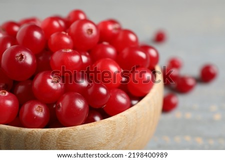 Similar – Image, Stock Photo Ripe red currant berries