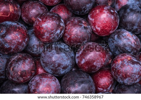 Tasty and ripe Plums Background.