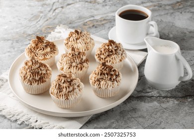 Tasty tiramisu cupcakes is a vanilla cakes are soaked with coffee topped with a rich mascarpone frosting, and dusted generously with cocoa powder closeup on the plate on the table. Horizontal
 - Powered by Shutterstock