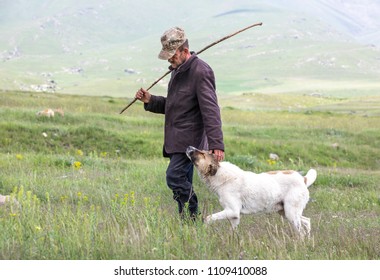 Tatev, Armenia - Jun 2, 2018: Old Armenian Sheep Herder With His Trusty Dog Begging For Pets On A Grassy Pasture On A Sunny Day.