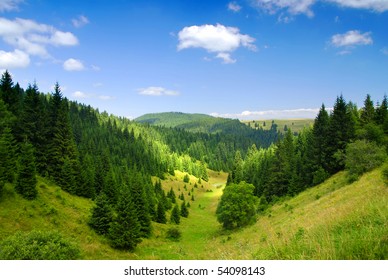 Tatras Mountains Covered By Green Pine Forests, Slovakia