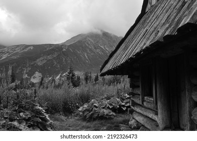 Tatry National Park , Hala Gasiennicowa