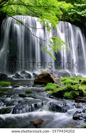Tatsuzawafudo Falls in early summer (Inawashiro Town, Fukushima Prefecture) Stock photo © 