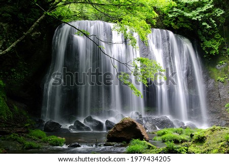 Tatsuzawafudo Falls in early summer (Inawashiro Town, Fukushima Prefecture) Stock photo © 