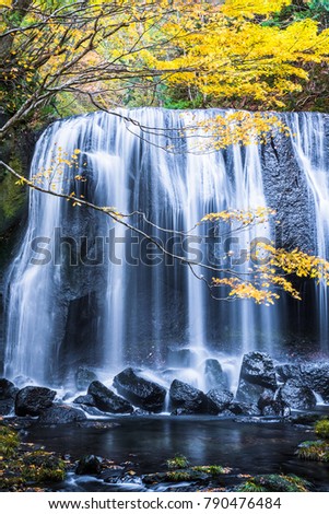 Tatsuzawafudo Falls at Fukushima in autumn Stock photo © 