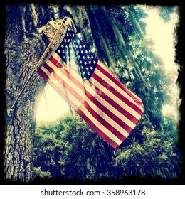 Tattered American flag hanging from a tree.