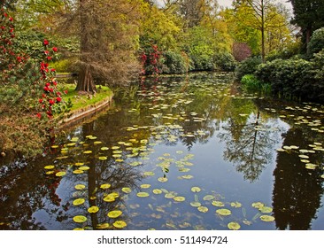 Tatton Park Lake