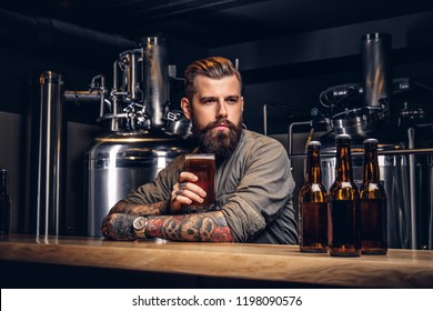 Tattooed hipster male with stylish beard and hair drinking beer sitting at the bar counter in the indie brewery. - Powered by Shutterstock