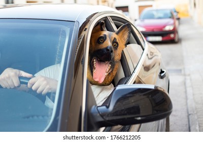 Tattooed Man With Dog Mask Driving