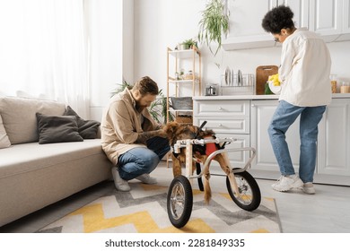 Tattooed man petting disabled dog near african american woman washing dish at home - Powered by Shutterstock