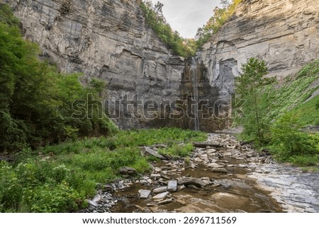 Taughannock Falls drops through a dramatic gorge surrounded by cliffs and forest in the Finger Lakes region of New York