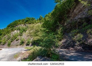 New River Gorge National River Images Stock Photos Vectors