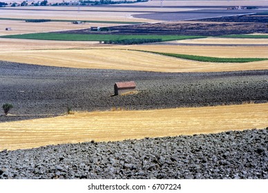 Tavoliere Delle Puglie, Countryside Near Foggia (Puglia, Italy)