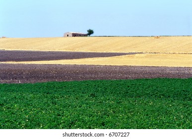 Tavoliere Delle Puglie, Countryside Near Foggia (Puglia, Italy)